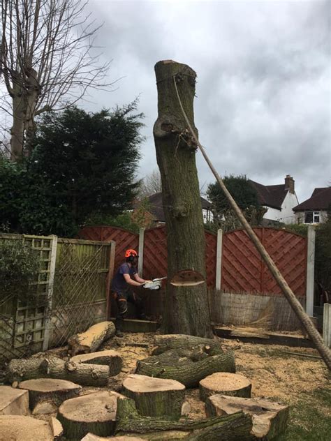 Handley Tree Care Home Facebook