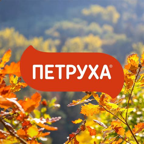 Петруха