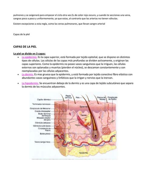 Sangre Arterial Y Venosa Pdf