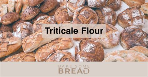 Triticale Flour - BakeSomeBread