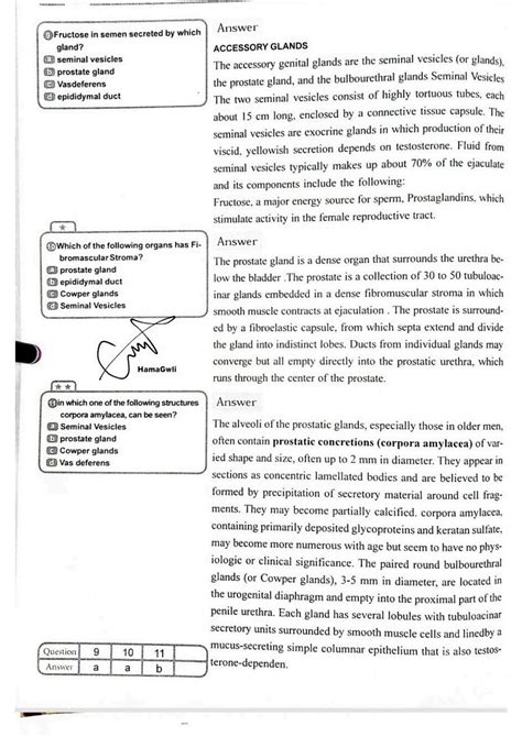 Solution Histology Of Reproductive System Exam Practise Studypool