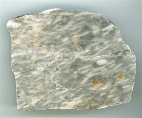 Vilémovice Limestone With Recrystallized Stromatopore Of The Genus Amp