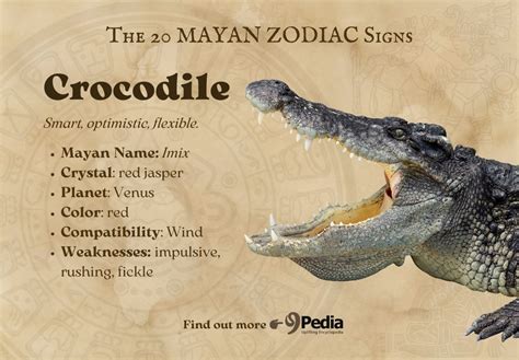 What Is Your Mayan Zodiac Sign TOP 20 Mayan Zodiac Signs