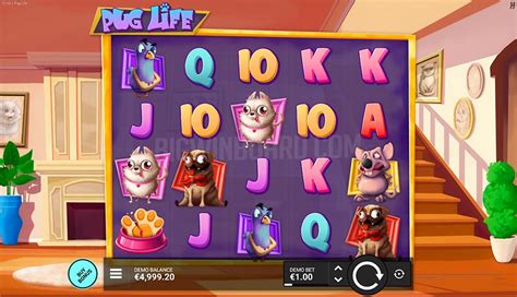 Pug Life Hacksaw Gaming Slot Review And Demo