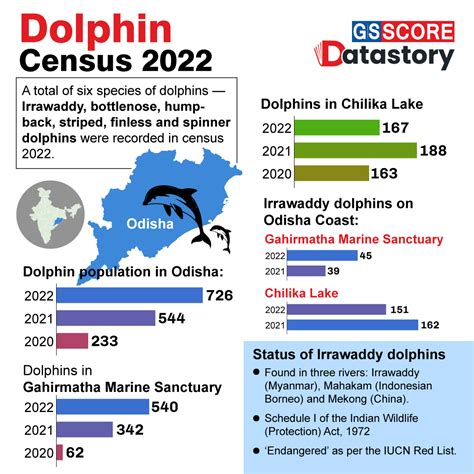 2022 Dolphin Population Graph