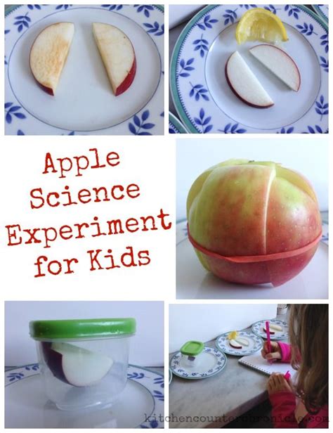 Apple Science Experiment For Kids Browning Apples Apple Science