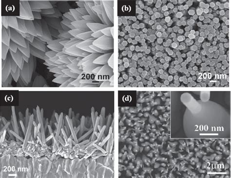 SEM Images Of A Nanospikes And B Nanopillars Grown On ITO Glass At