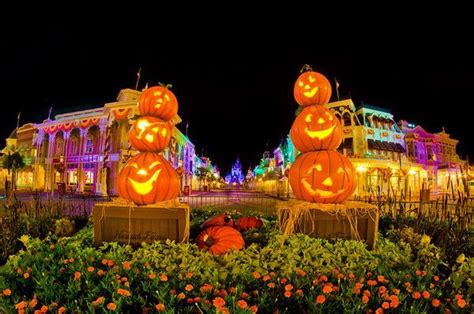 October 2023 At Disney World Crowd Calendar And Info Disney World