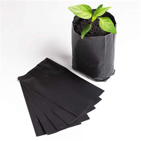 Details More Than Plastic Bags For Nursery Plants Tdesign Edu Vn