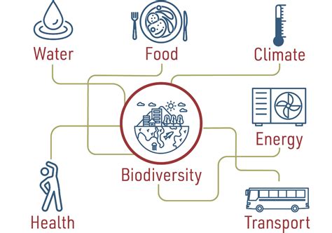 BIONEXT Providing Integrated Solutions To The Biodiversity Crisis