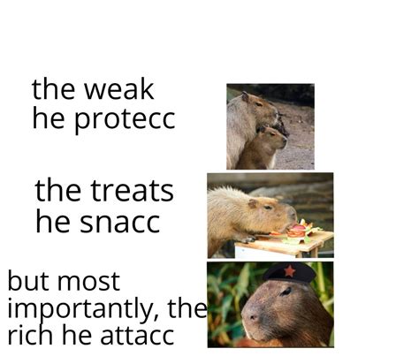 Commandante Capybara Rcapybara
