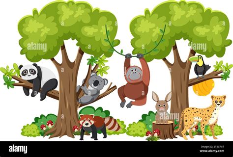 Collaboration Animals Stock Vector Images Alamy