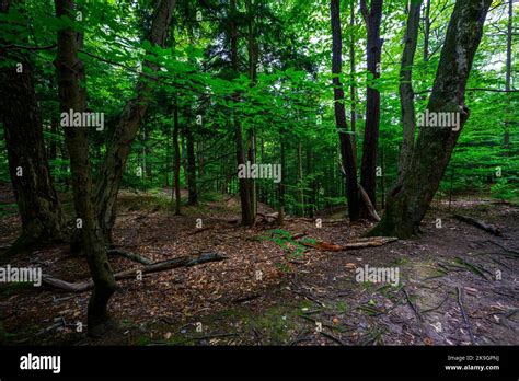 Chestnut Ridge Park Eternal Flame Falls Trail Stock Photo Alamy