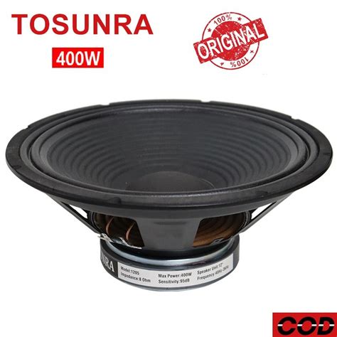 Tosunra Instrumental Speaker Inches W Amplifier