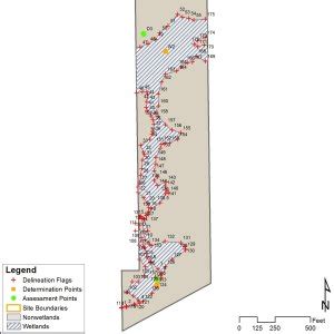 Wetland Delineation & Professional Wetland Scientists | Cypress Env.