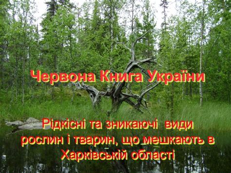 Червона Книга України