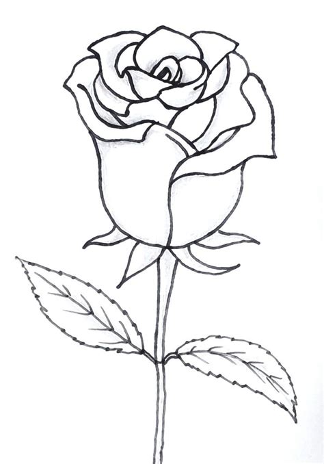 Desenhos De Rosas Para Imprimir E Colorir Pintar Sexiz Pix