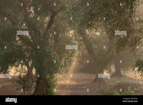 Val Ditria Apulia Hi Res Stock Photography And Images Alamy