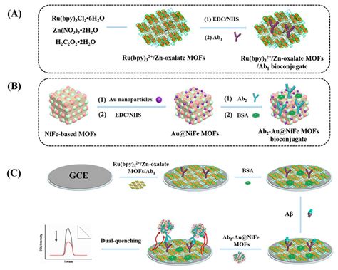 Chemosensors Free Full Text Recent Advances In Metal Organic