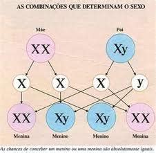 Vini Sette Cientistas Confirmam Ninguém Nasce Gay