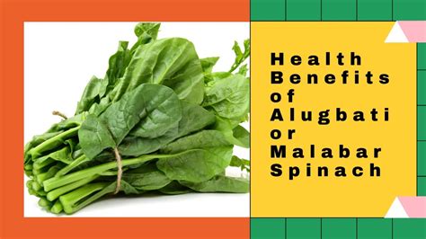 Health Benefits Of Malabar Spinach Alugbati Youtube