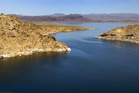 Complete Fishing Guide To Alamo Lake Best Fishing In America