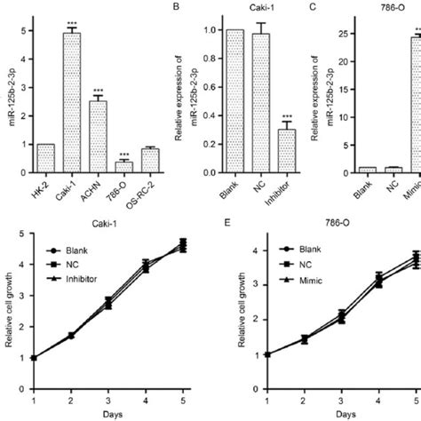 MiR 125b 2 3p Shows No Significant Effects On CcRCC Cell Growth A