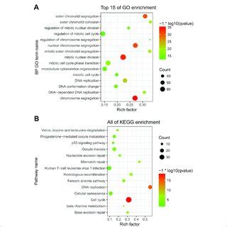 Functional Enrichment Analysis Of The Three Genes Co Expressed