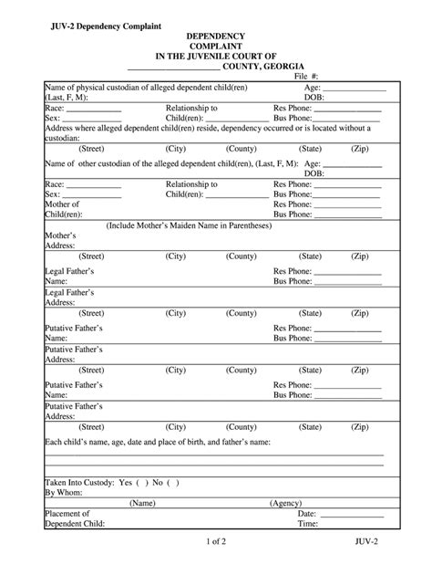 2019 2024 Form GA JUV 2 Fill Online Printable Fillable Blank PdfFiller