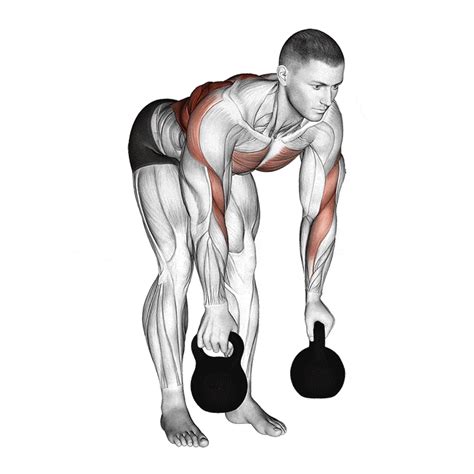 Kettlebell Bent Over Rows How To Do Properly Muscles Worked Off