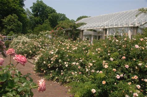 Brooklyn Botanic Garden : NYC Parks