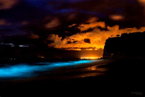 Playas Ticas En Las Que Puedes Ver Bioluminiscencia Fotos