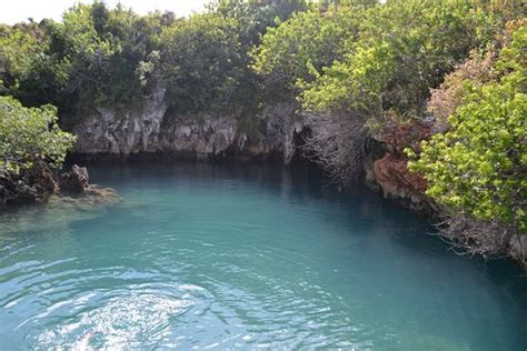 Blue Hole Park Bermuda All You Need To Know Before You Go Updated