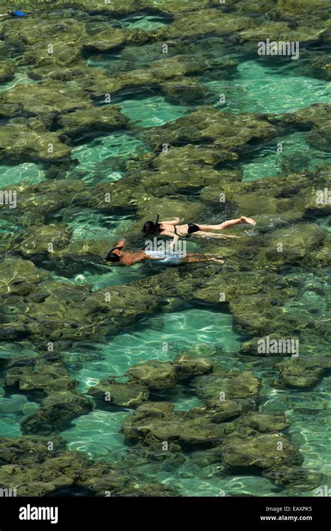 People Snorkelling Among Coral Reef At Hanauma Bay Nature Preserve