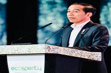 Jokowi Ajak Pengusaha Singapura Investasi Di Ikn Sebut Kesempatan Emas