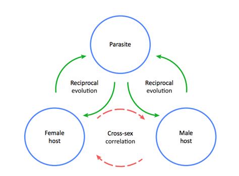 Sexual Antagonism — Hall Research Group