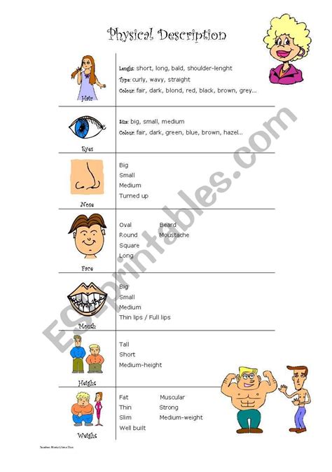 Physical Description Esl Worksheet By Marta