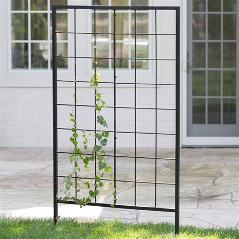 Metal Garden Trellis Keep Vine Plants And Flowers Off The Ground