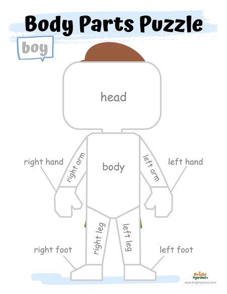 15 Body Parts Activities For Preschoolers Free Printables