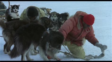 Antarctica 1983 Movie Reviews Simbasible