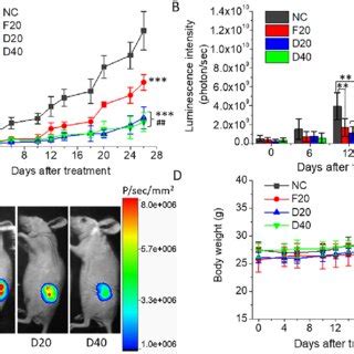Growth Of Tumor Xenografts In Nude Mice After Oral Administration Of