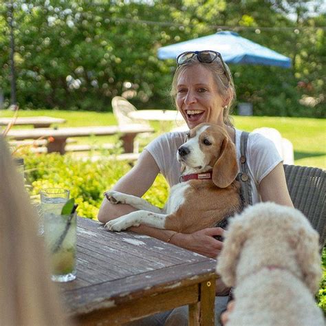 The Best Dog Friendly Pubs In Sussex Paws And Stay