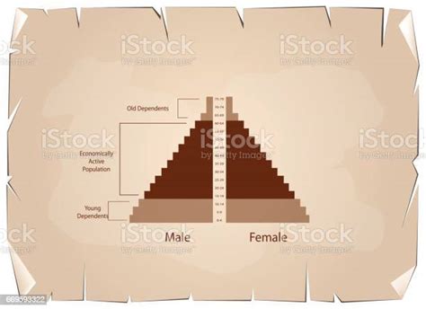 Detail Of Population Pyramids Graphs Depend On Age Stock Illustration Download Image Now