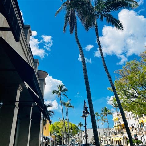 Naples Fl City