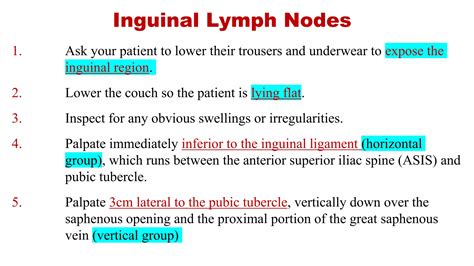 Lymph Nodes Examination Ppt