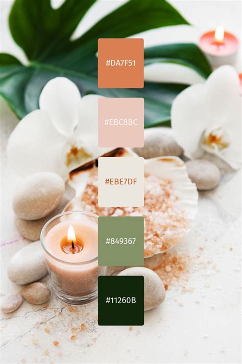 Branding Colour Palette Inspiration For Spa Wellness Retreat In 2024 Brand Color Palette