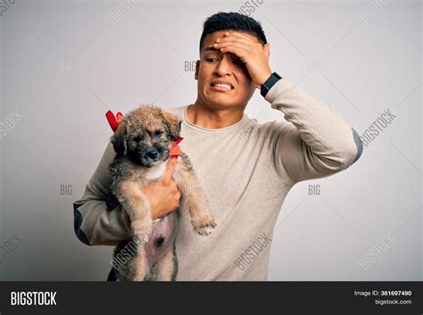 Frustrated Puppy