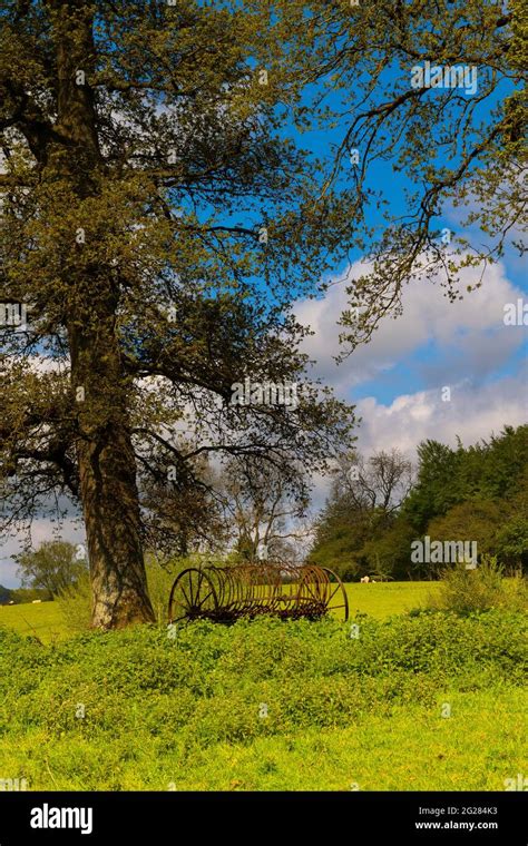 Abandoned farm equipment Stock Photo - Alamy