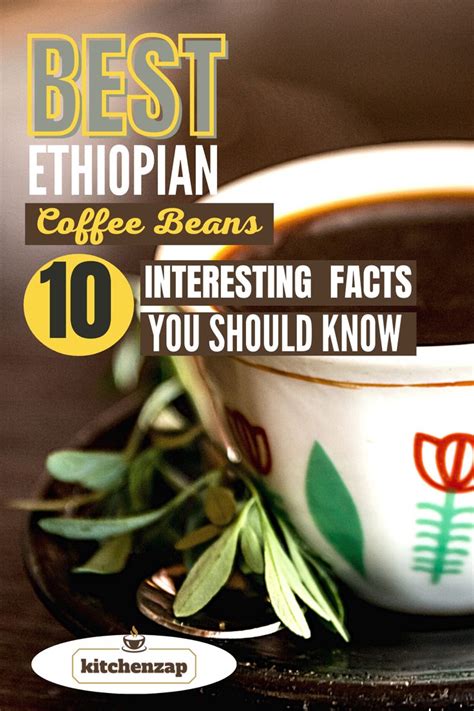 The Best Ethiopian Coffee Beans Are Interesting Fact You Should Know