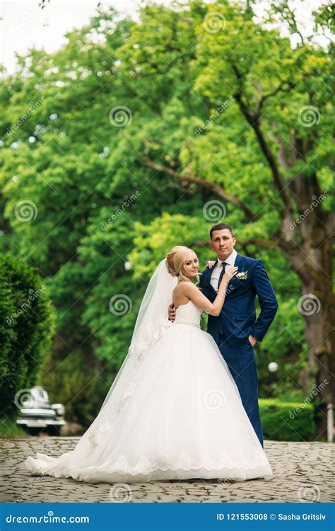 Pares Hermosos De La Boda Que Caminan En Parque Recienes Casados